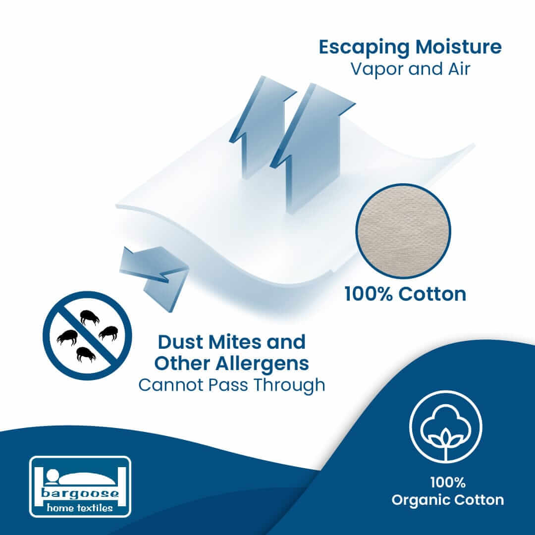 AllergyCare™ Organic Cotton Zippered Pillow Protector | Bargoose